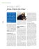 un rating “a stelle”