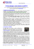 Project Manager: Come Parlare in Pubblico
