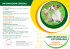 Corso Introduttivo all`ANESTESIOLOGIA VETERINARIA