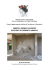 VERIFICA SISMICA DI EDIFICI ESISTENTI IN CEMENTO ARMATO