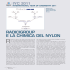 radicigroup e la chimica del nylon