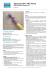 SpectraLOCK® PRO Grout