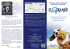 scarica brochure
