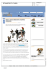PETSANDTHECITY.IT (WEB)