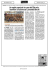 articolo nazione empoli - Scuola Pallanuoto Leonardo Binchi