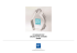 Presentazione di PowerPoint - Blue Financial Communication