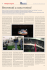 Dental Tribune Dicembre 2013