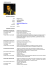 My CV - Roberto Salis