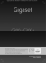 Gigaset C300