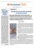 INSURANCE DAILY - Insurance Trade