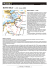Scarica il file PDF