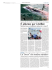 E` allarme per i delfini