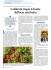 Coldiretti riapre il fronte dell`ocm ortofrutta