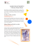 Pagine per web