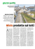 Il miele sui tetti delle città