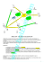 Voip semplice_no-back
