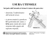 USURA UTENSILE