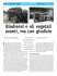 Scarica l`articolo completo (file  | 170 Kb)