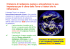 Il bilancio di radiazione (solare e atmosferica)