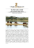 TANZANIA SUD - I Viaggi di Maurizio Levi