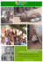 Un Futuro per i bambini del Togo