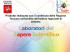 fiic818002_la similitudine.