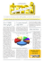 Newsletter gennaio 2008