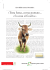 PDF 877 KB - Bio Suisse