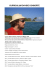 curriculum davide