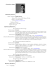 Curriculum Vitae Matteo Piccioni