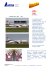 AMC Airlines BOEING B737-800 186y La Compagnia aerea fu