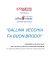 “GALLINA VECCHIA FA BUON BRODO!”