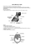 anatomia del piede - Old West Centro di equitazione western