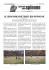 IL BIONOMIO RETRIEVER-SPINONE di Marco Lozza