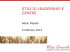 presentazione - Progetto Talento