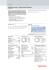 Raiffeisen Fonds - Global Invest Balanced