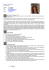 European Curriculum Vitae Format - Template