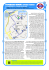 itinerario rimini centro storico