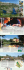 Brochure Il Bosso