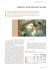 new infermiere 3 09