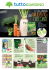Scarica Catalogo PDF