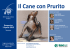Scarica il programma