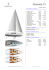 Oceanis 31