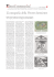 pdf - Fondazione Internazionale Menarini