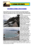 Le spiagge della Liguria