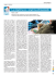 La vitamina LL: vitamina librosolubile