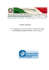 Linee guida per l`applicazione del modello di valutazione della