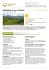 WEEKEND IN VAL D`ORCIA