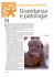Gravidanza e patologie