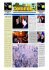 Gennaio 2007 n. 51